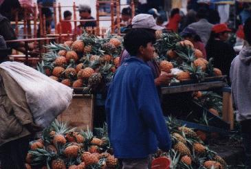 Ananas