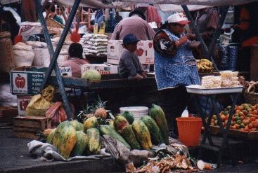 Papaya