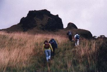 Trekking Pasochoa
