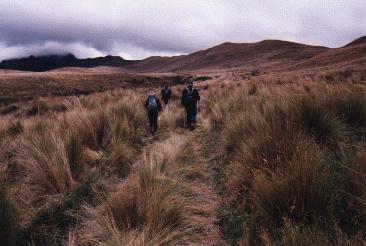 Trekking Pichincha