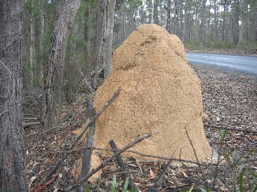 Mimosa Rocks National Park
