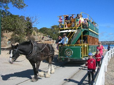 Pferdebahn Victor Harbor