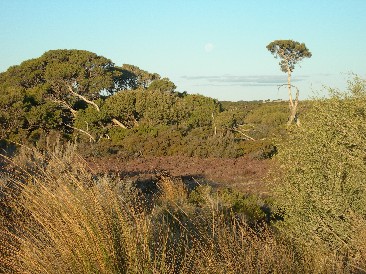 Coorong NP