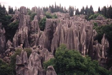 Steinwald1