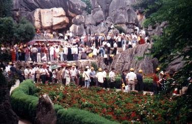Steinwald2