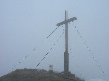 Fellhorn