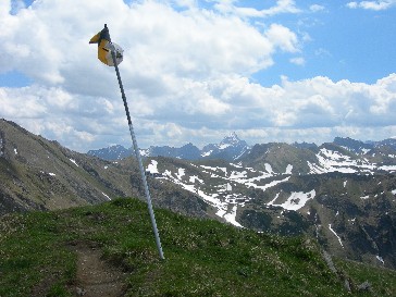 geißfuß