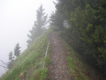 Gratweg in Richtung Fellhorn