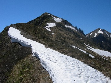 Die letzten Meter zum Hochstarzel