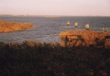 Boddenlandschaft