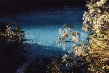 Blaue Gumpe