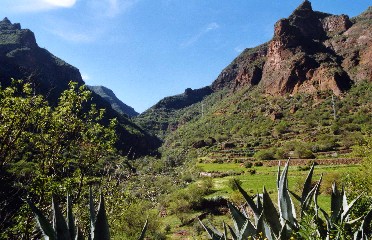 Barranco de Guayadeque