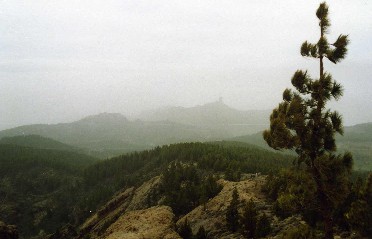 Pico de las Nieves
