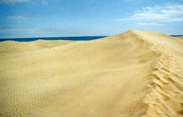 Las Dunas de Maspalomas