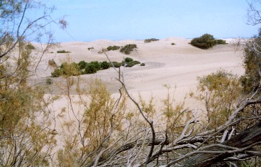 Las Dunas de Maspalomas