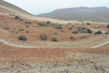 Huevos de Teide