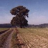 Odenwald-Durchquerung