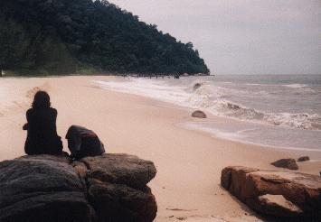 Monkey Beach