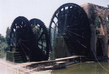 Hama