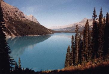 Peyto Lake