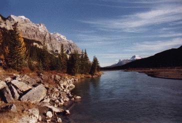 At the Icefields Parkway