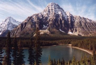 At the Icefields Parkway