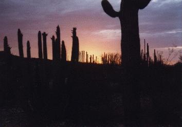 Sonnenuntergang