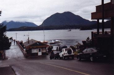 Tofino