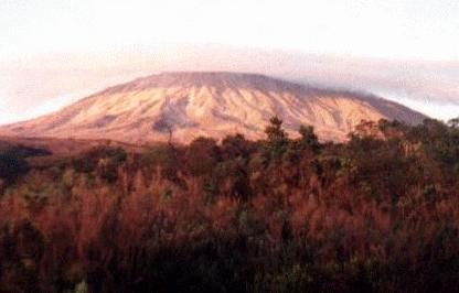 Kilimandscharo im Morgengrauen