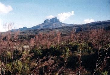 Mawenzi