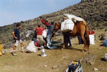 Gep&auml;ck-Verladung