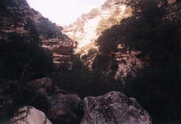 Die Avakas-Schlucht