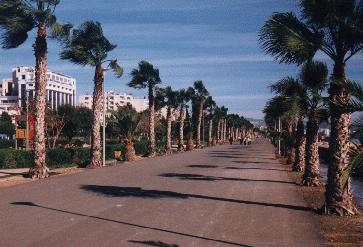 Limassol